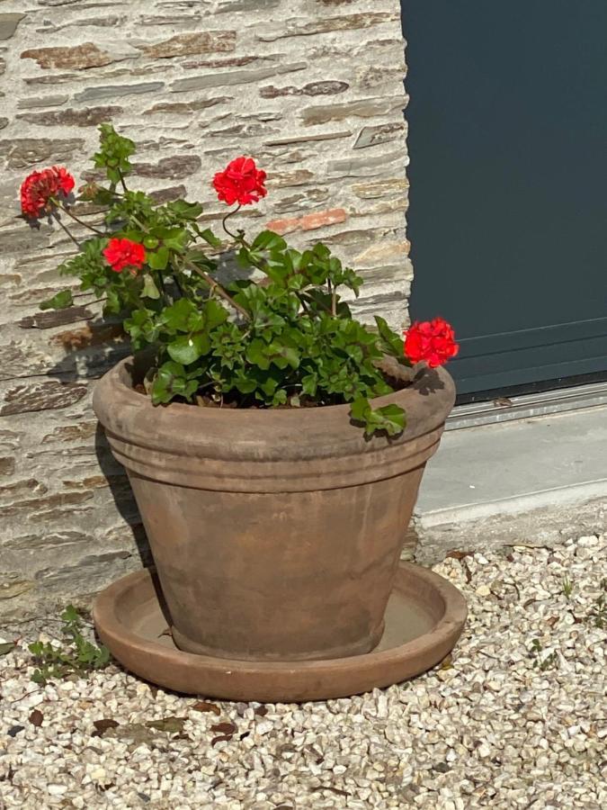 Celine Et Olivier Bed & Breakfast Pornic Luaran gambar