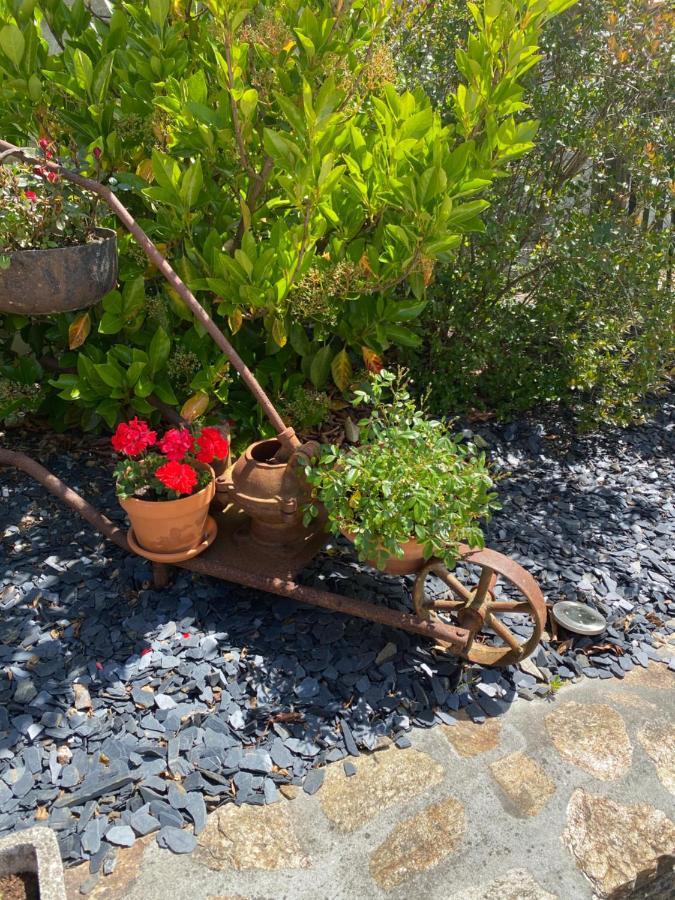 Celine Et Olivier Bed & Breakfast Pornic Luaran gambar